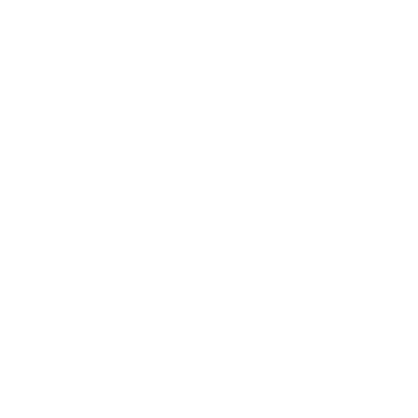 Videoland